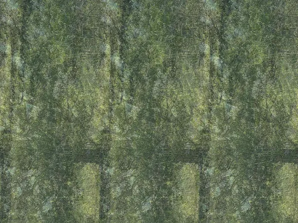 (undisclosed Address), Greenbrier, AR 72058