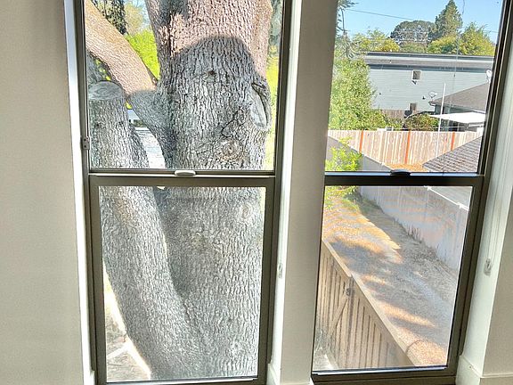 Bedroom window