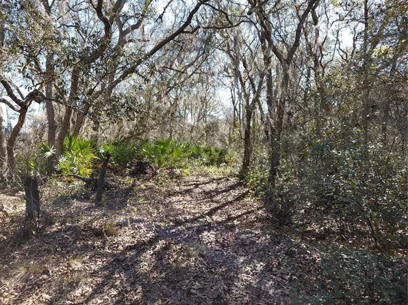 8123 Wheystone Dr Lot 7, Webster, FL 33597