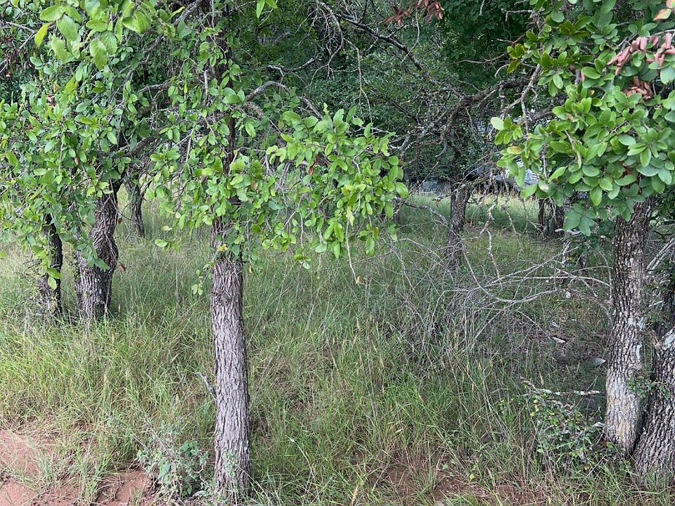 2nd image of 940 Oak Point Dr