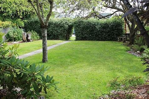 Front yard