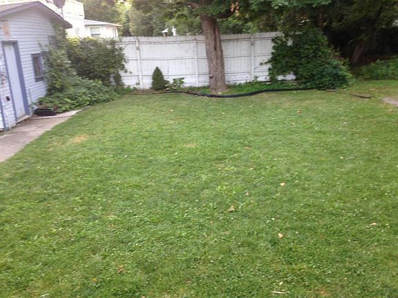 Large backyard. We do the mowing and upkeep.