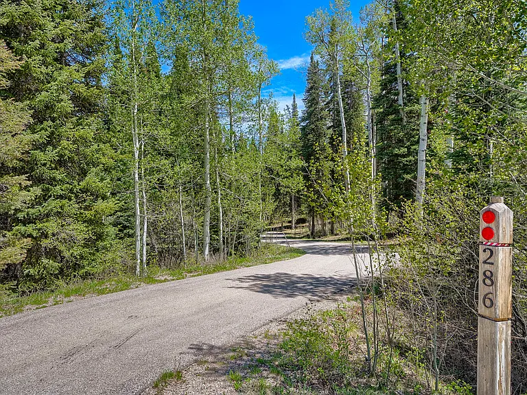 286 Webb Peak — Photo 39