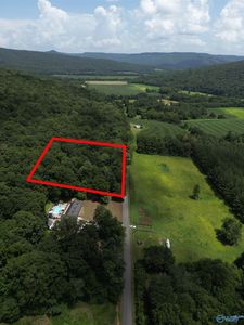 2829 County Road 4, Hollytree, AL, 35751