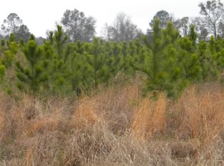 312 Mount Galilee Church Rd, Jacksonville, GA 31544