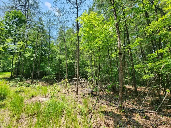 LOT 29 Rachel Dr, Mc Caysville, GA 30555