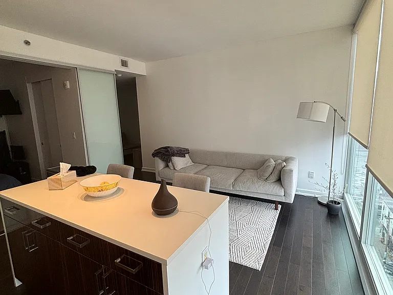 300 Lisgar St — Photo 7