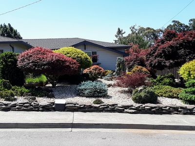 3245 Saddle Dr, Hayward, CA, 94541