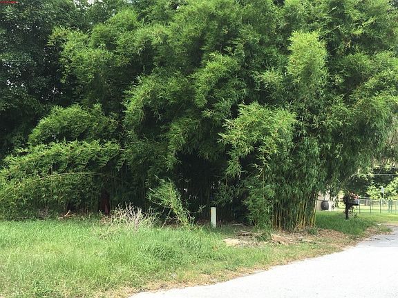 2nd image of 905 Naples Dr