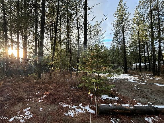 4th image of 1733 S Last Chance Rd