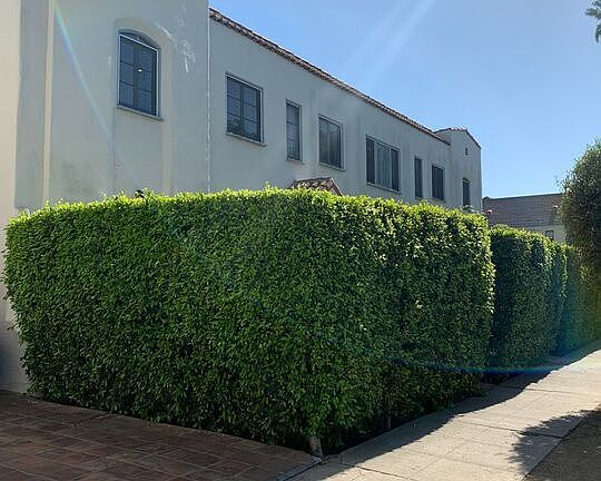 2nd image of 7714 Rosewood Ave #7720