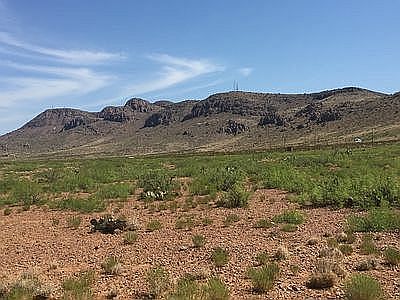 Facing North from Property 