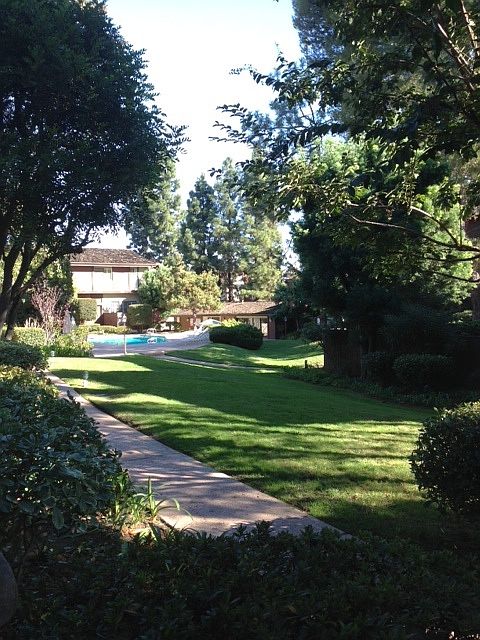  View from front porch