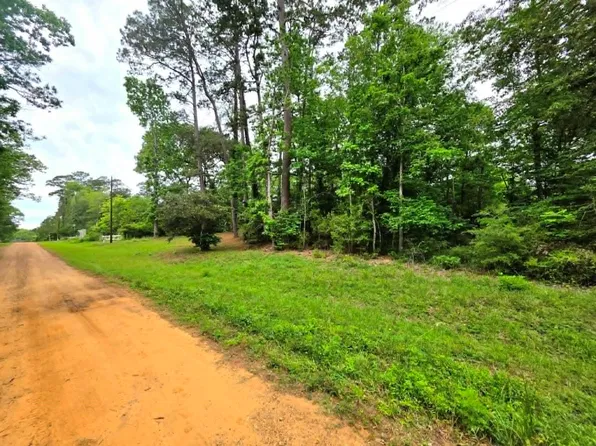 0 Dogwood Lake Dr, Livingston, TX 77351