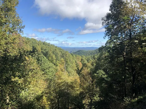 94 Laurel Cottage Ln, Black Mountain, NC 28711