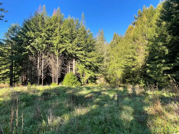 0 Wilder Rd, Carlotta, CA 95528