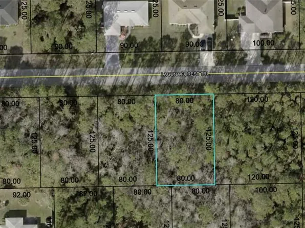 30 LAGUNA FOREST TRAIL LOT 21, PALM COAST, FL 32164