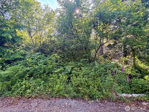 285 xx Z Street, Ocean Park, WA 98640