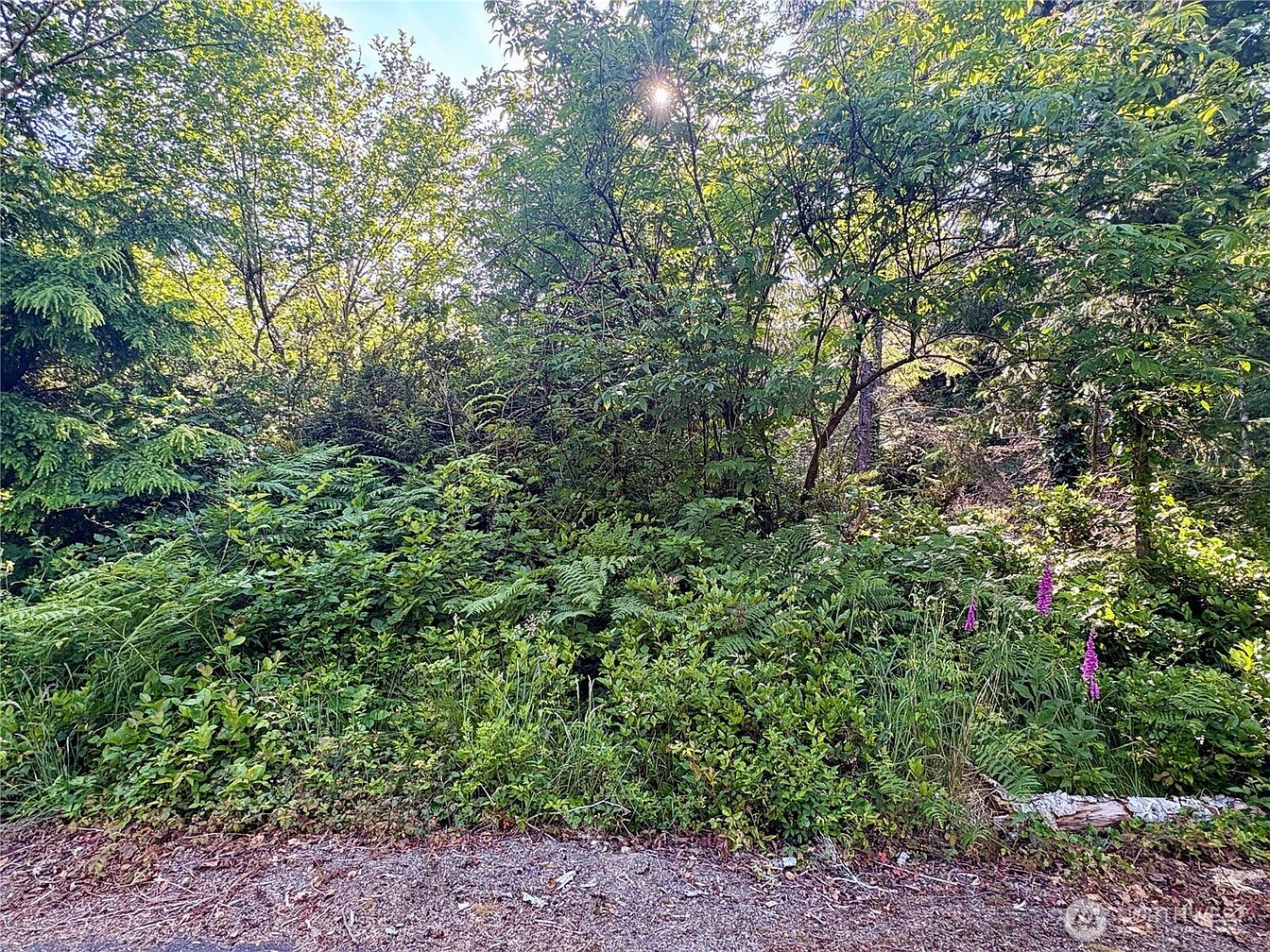 1st image of 285 xx Z Street