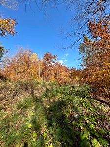 1843 Downer Road, Sharon, VT, 05065