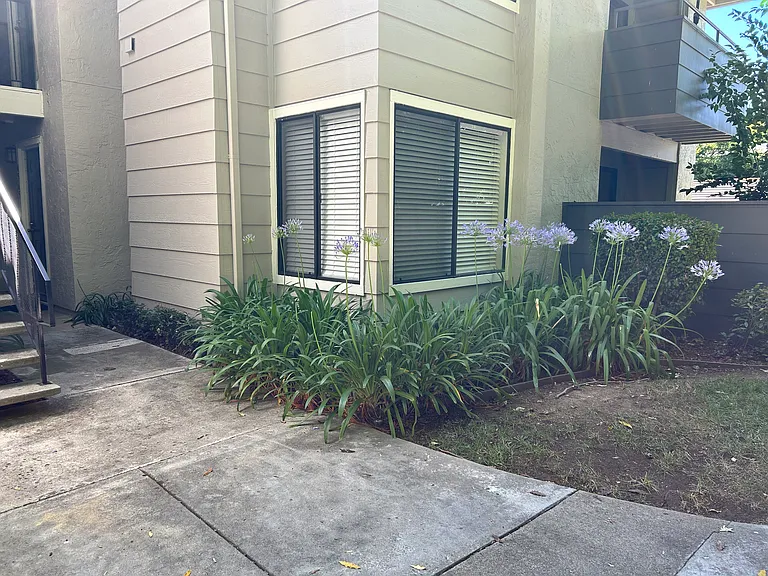 4565 Waterville Dr — Photo 17