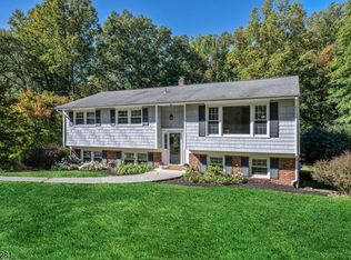 6 Dorothy Dr, Morris Twp., NJ 07960