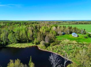 12164 W Irish Line Rd, Brimley, MI 49715