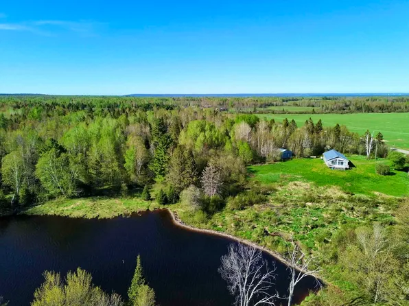 12164 W Irish Line Rd, Brimley, MI 49715