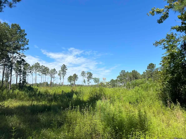 Willie Redden Rd, Greensburg, LA 70441