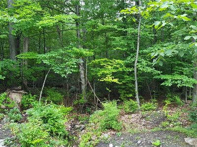  Hansburg Road, Pine Bush, NY, 12566