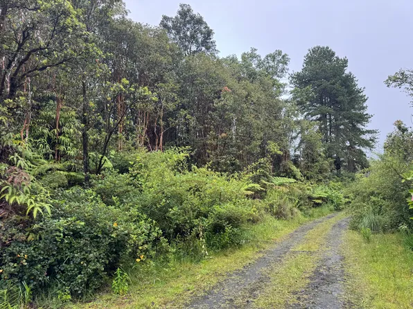 Road 6 Lot 317, Volcano, HI 96785
