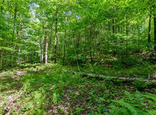 0 Olive Whitbeck Rd, Franklin, NY 13775