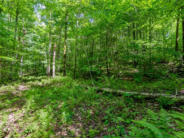 0 Olive Whitbeck Rd, Franklin, NY 13775