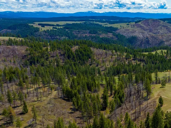Nka 20acs Hidden Valley Ln Lot 1, Weippe, ID 83553