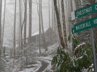 1212 Chestnut Cove Rd, Whittier, NC 28789