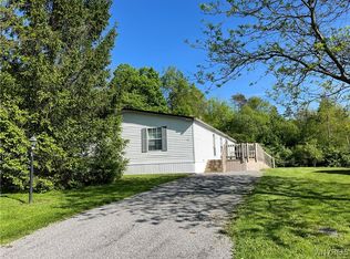 53 Valley Vw, Ellicottville, NY 14731