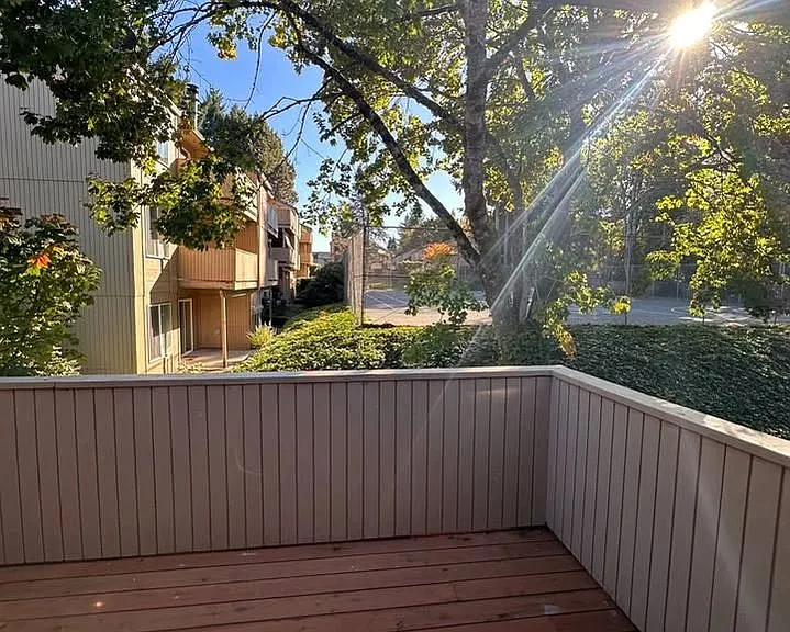 Terrace View Apartments — Photo 7
