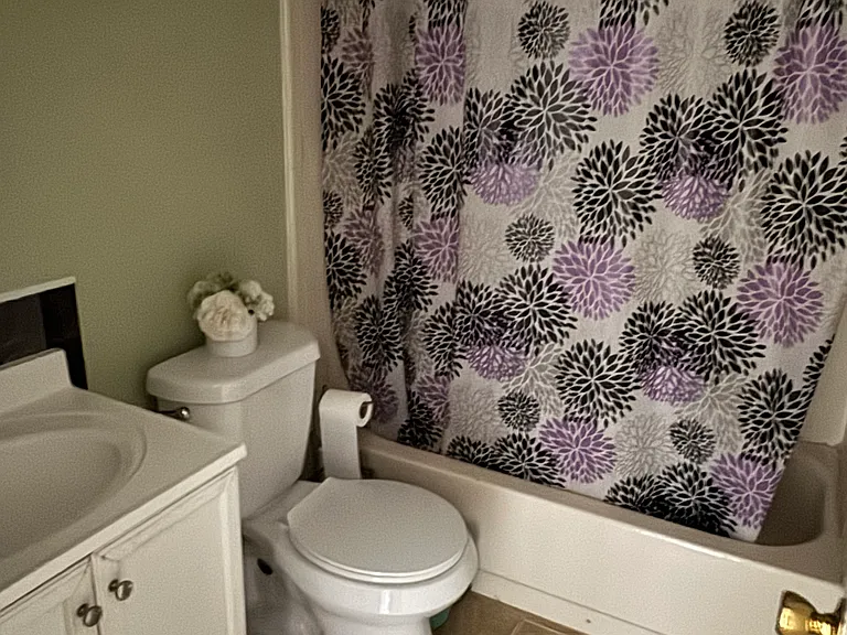 12166 Sandal Creek Way — Photo 4