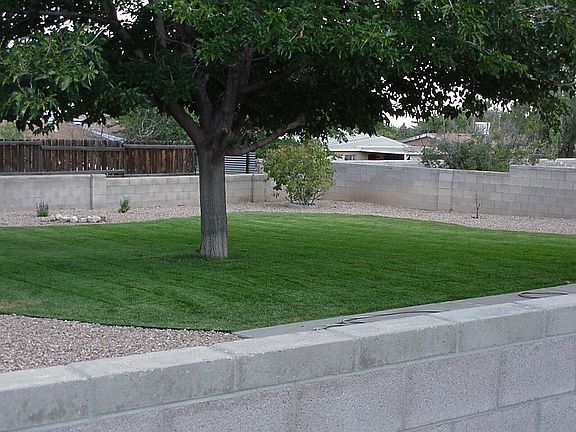Backyard of 1713 Martha St