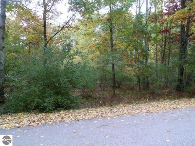 1013 & 1015 Granada Dr, Weidman, MI, 48893