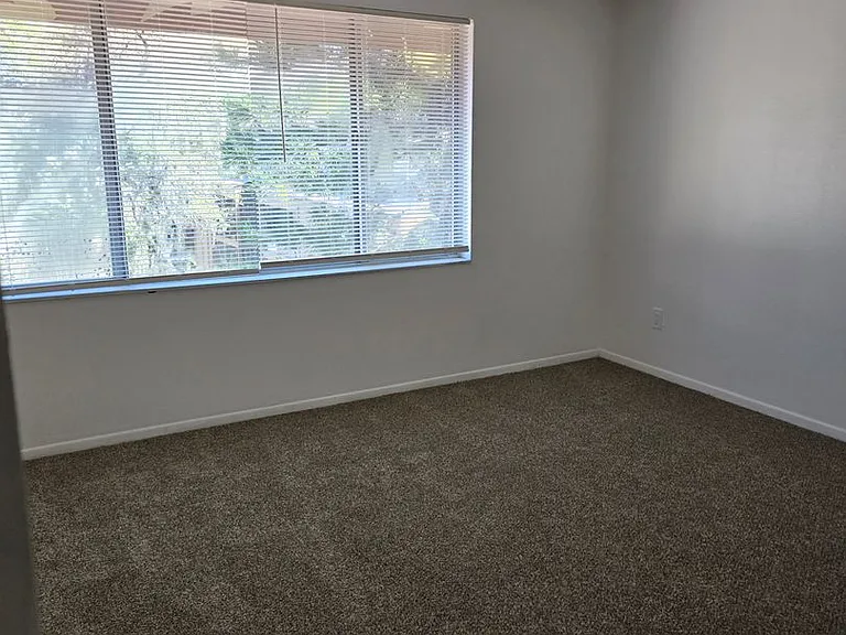 5508 Pokeweed Ct — Photo 14