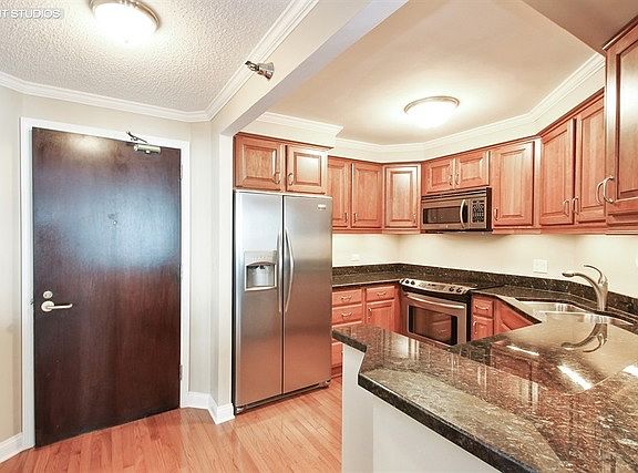 5th image of 195 N Harbor Dr APT 4605