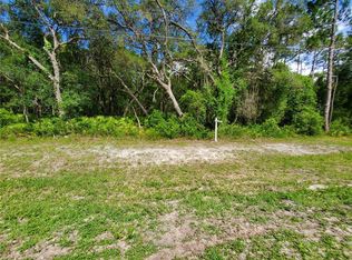 Treiman Boulevard Lot #89, Webster, FL 33597