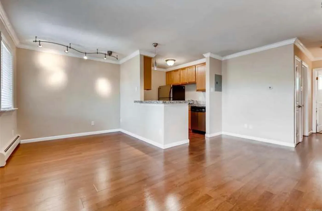 1 bed, 555 sqft, $1,450 — Photo 1