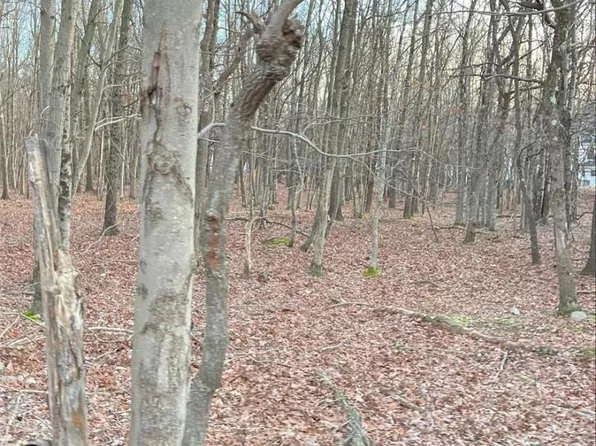 179 Mallard Ln #1603, Albrightsville, PA 18210