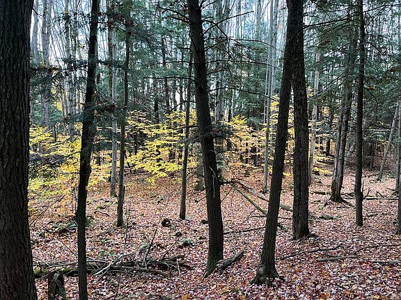 5th image of Old State Rd