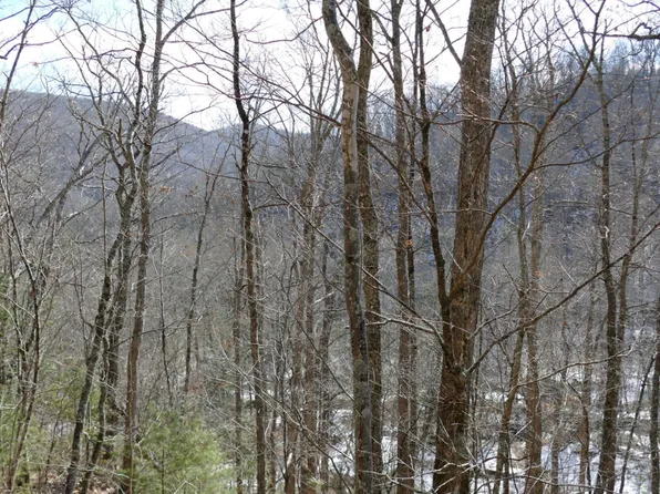 0 Upper Back Creek Rd Lot 2, Monterey, VA 24465