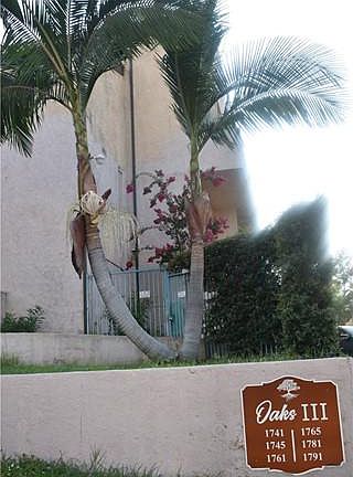 2nd image of 1745 Neil Armstrong St APT 205