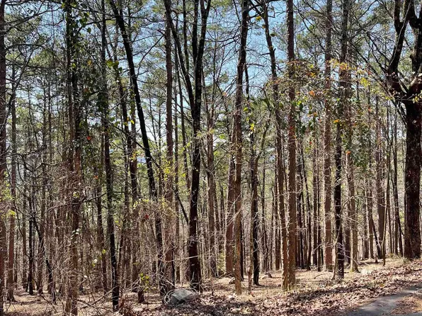 (undisclosed Address), Hot Springs Village, AR 71909