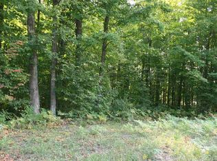 PARCEL Twin Lake Rd NE #B, Kalkaska, MI 49646